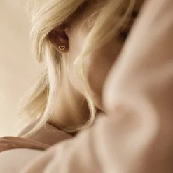 Blomdahl Gt Brilliance Heart Titanium Øreringe med Krystal
