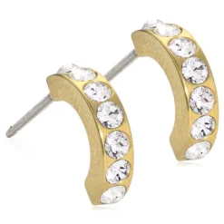 Brilliance Curved Titanium Ørestikker fra Blomdahl med Swarovski Krystaller