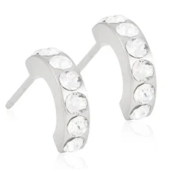 Brilliance Curved Titanium Øreringe fra Blomdahl med Krystal
