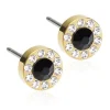 Brilliance Halo Titanium Øreringe fra Blomdahl med Krystalsten