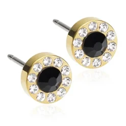 Brilliance Halo Titanium Øreringe fra Blomdahl med Krystalsten