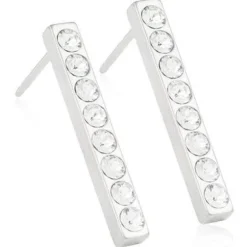 Brilliance Straight Krystal Titanium Øreringe fra Blomdahl