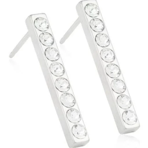 Brilliance Straight Krystal Titanium Øreringe fra Blomdahl