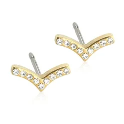 Brilliance Wing Titanium Øreringe fra Blomdahl
