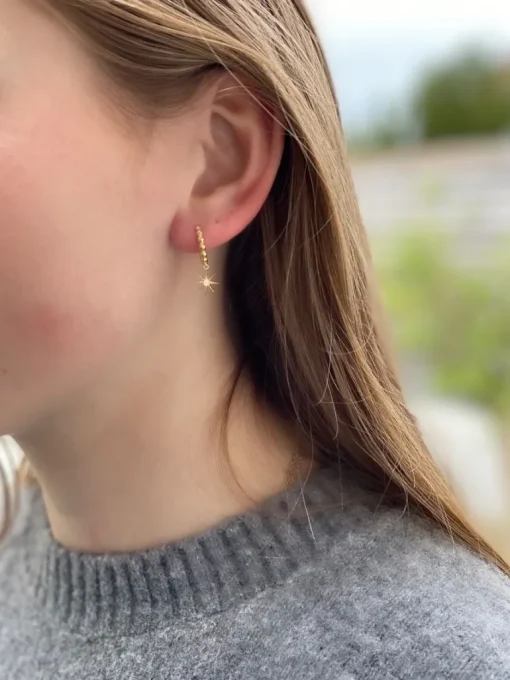 Isabell Forgyldt Sølv Øreringe fra Smykkekæden
