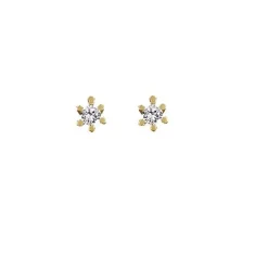 14 Karat Guld Ørestikker fra Aagaard med Diamanter 0,12 Carat W/VVS