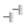 Nt Petite Brilliance Straight Titanium Øreringe fra Blomdahl