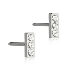 Nt Petite Brilliance Straight Titanium Øreringe fra Blomdahl