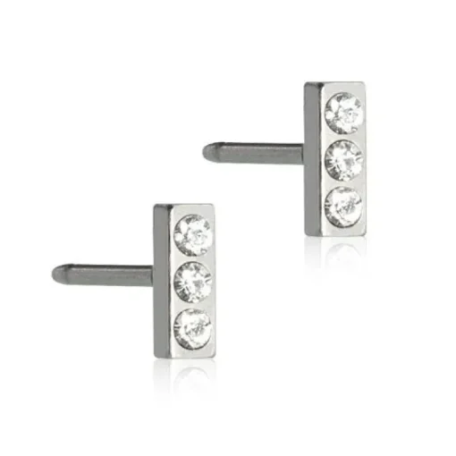 Nt Petite Brilliance Straight Titanium Øreringe fra Blomdahl