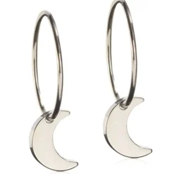 Pendant Moon Titanium Øreringe fra Blomdahl