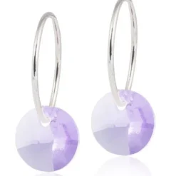 Round Violet Titanium Øreringe fra Blomdahl 15-1248-26
