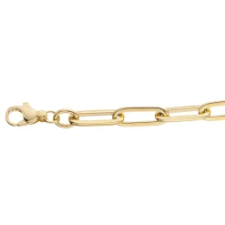 Scrouples Long Link Forgyldt Sølv Armbånd 37932,18