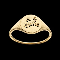 Scrouples Primavera Signet 14 Karat Guld Ring 710735