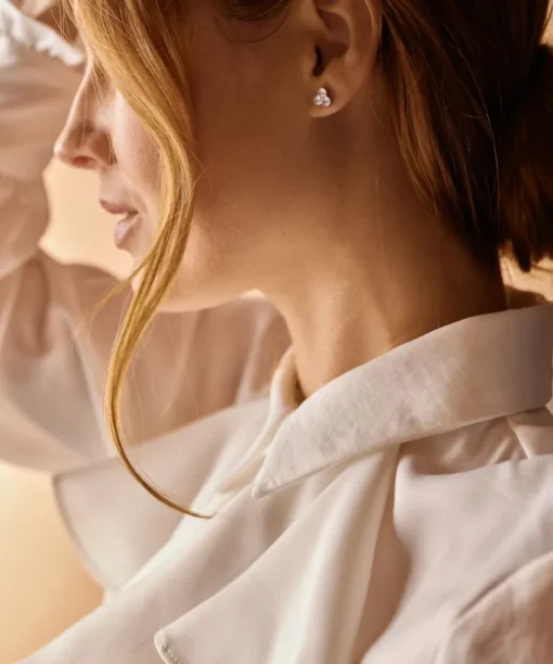 St Clover Titanium Øreringe fra Blomdahl med Krystal